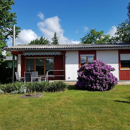 Feriendomizil am Zeulenrodaer Meer Zadelsdorf Exterior foto