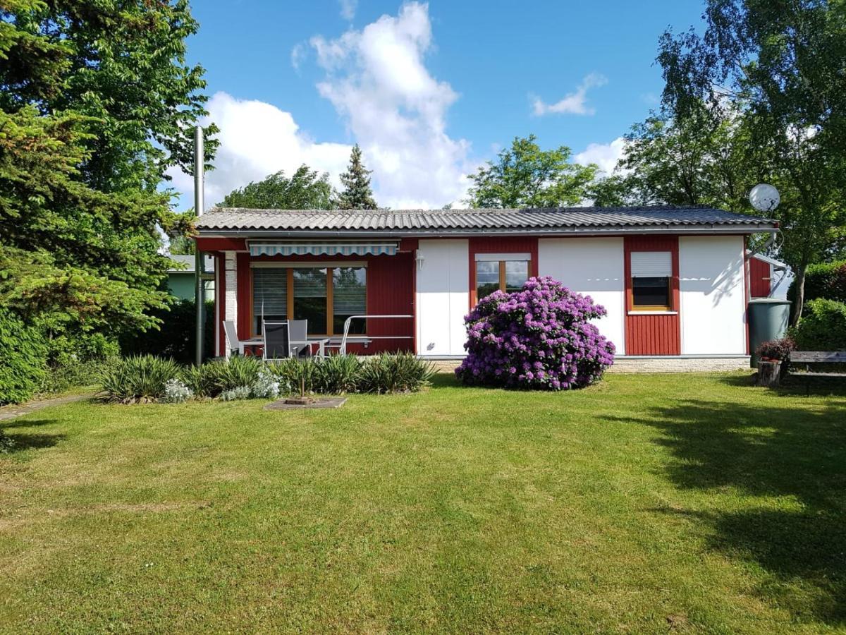 Feriendomizil am Zeulenrodaer Meer Zadelsdorf Exterior foto